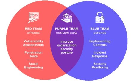 Penetration Testing vs. Blue Team Defense: A Tactical Overview