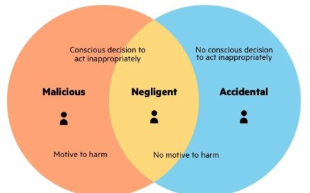 When Employees Become the Weakest Link: Lessons from Insider Threats